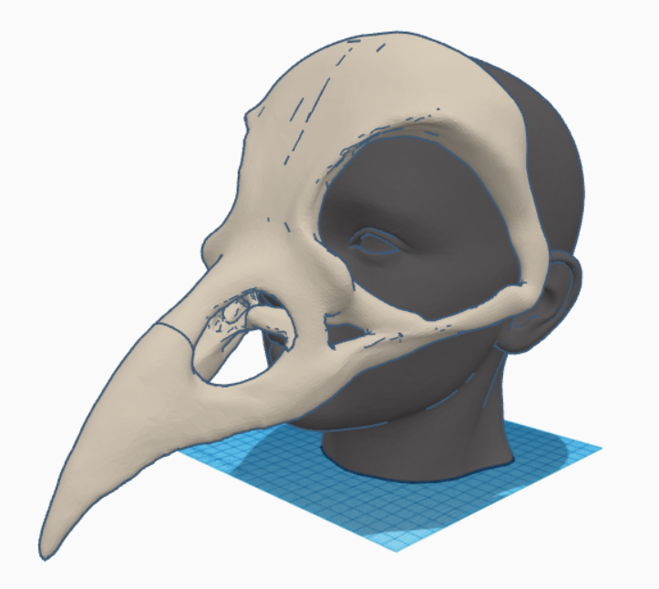 Raven Skull Mask