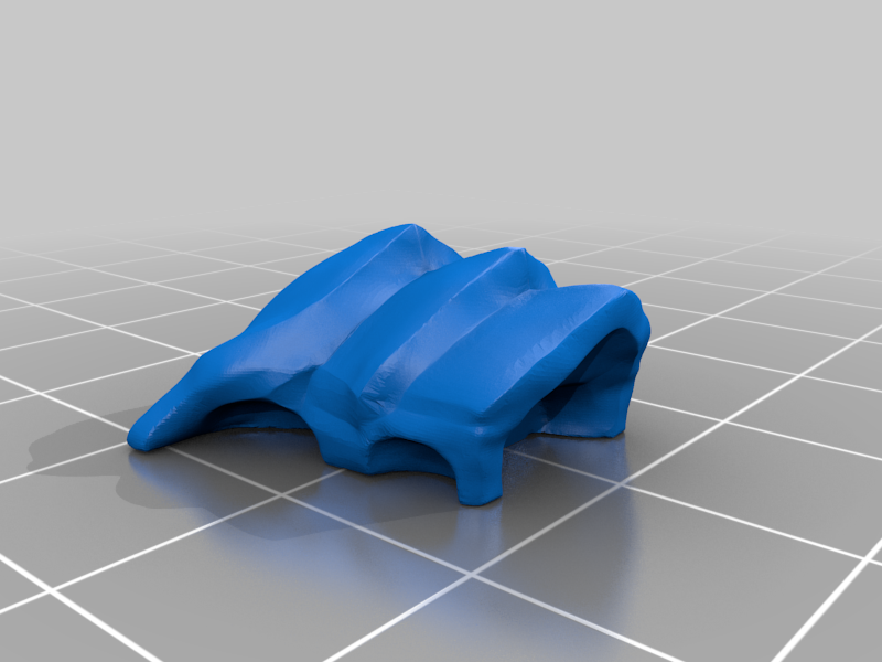 Space Bug Carapace