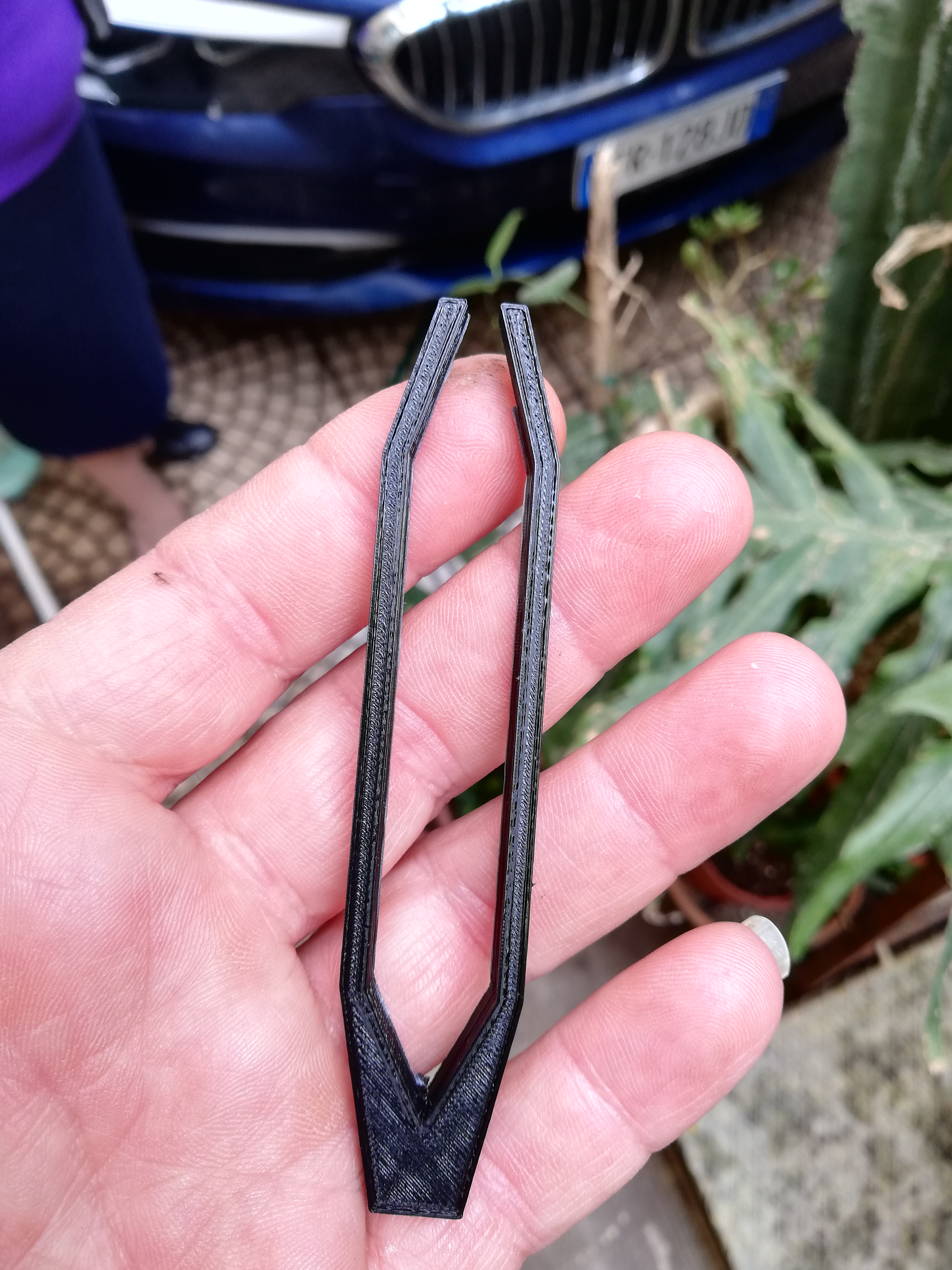 Pinzetta