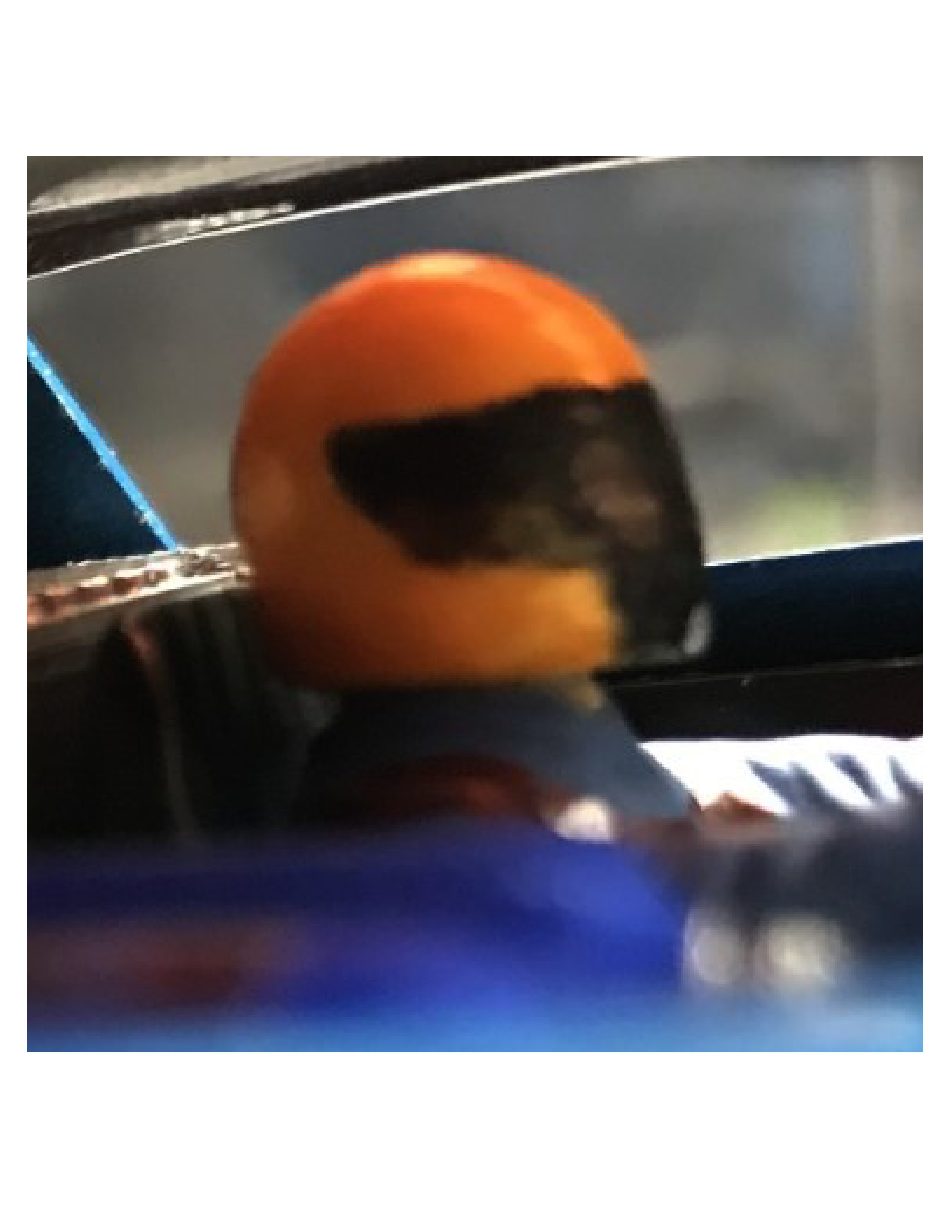 Slot car helmet for interior or driver bust, figure