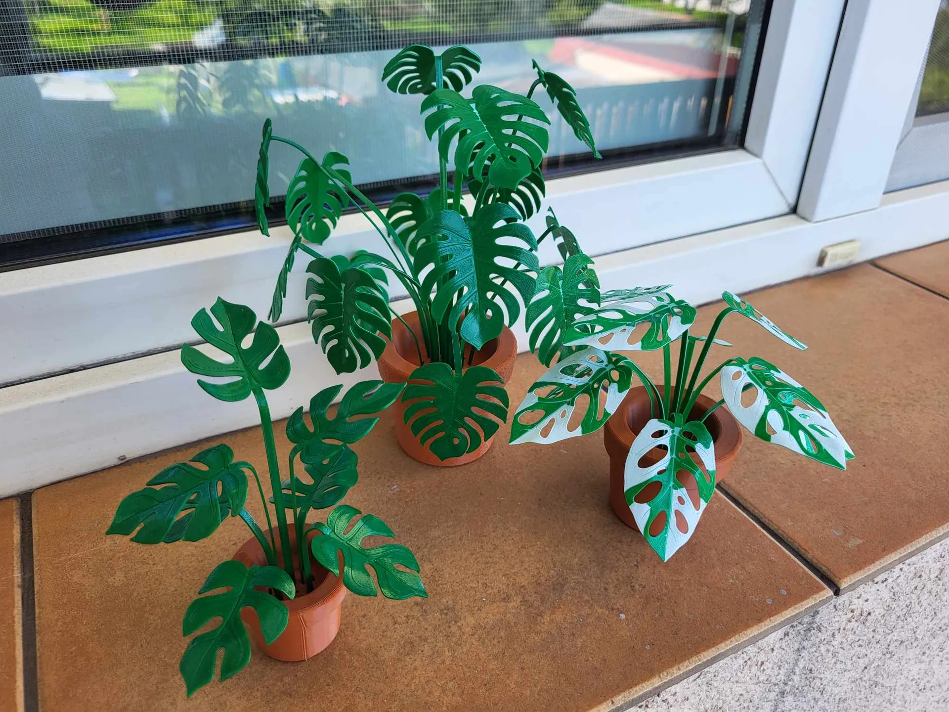 Print-a-plant - printable Monstera plant