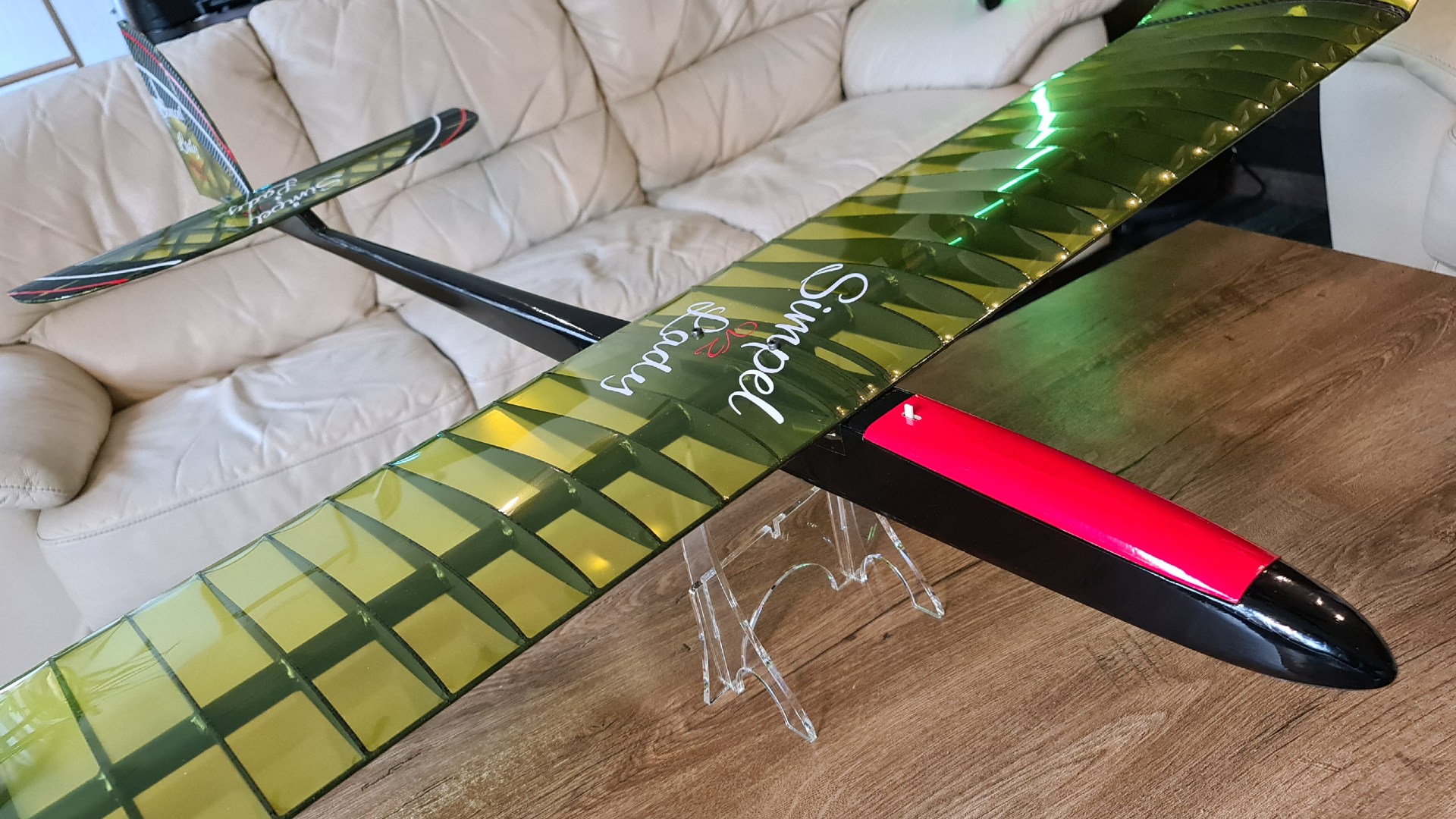 RC Glider "Simple Lady"
