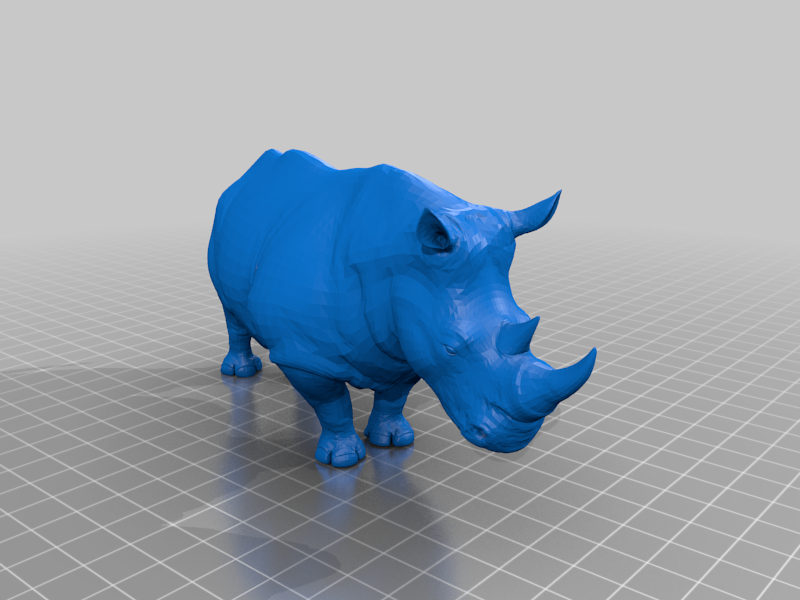 rino