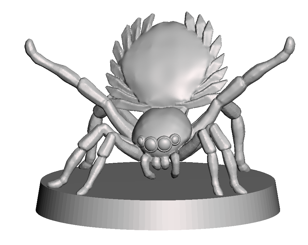 Peacock spider companion