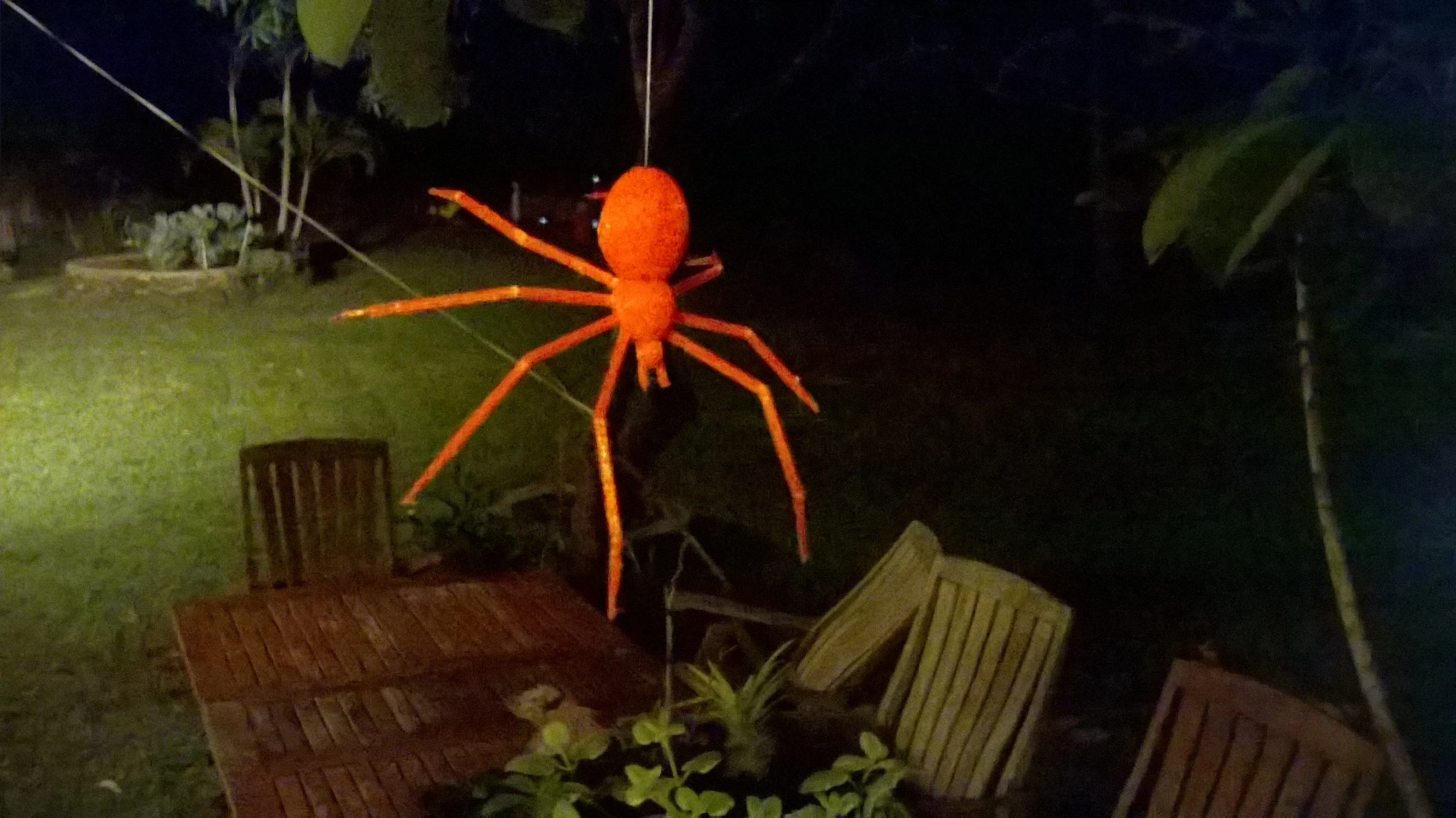 Creepy spider spinning web (hanging)