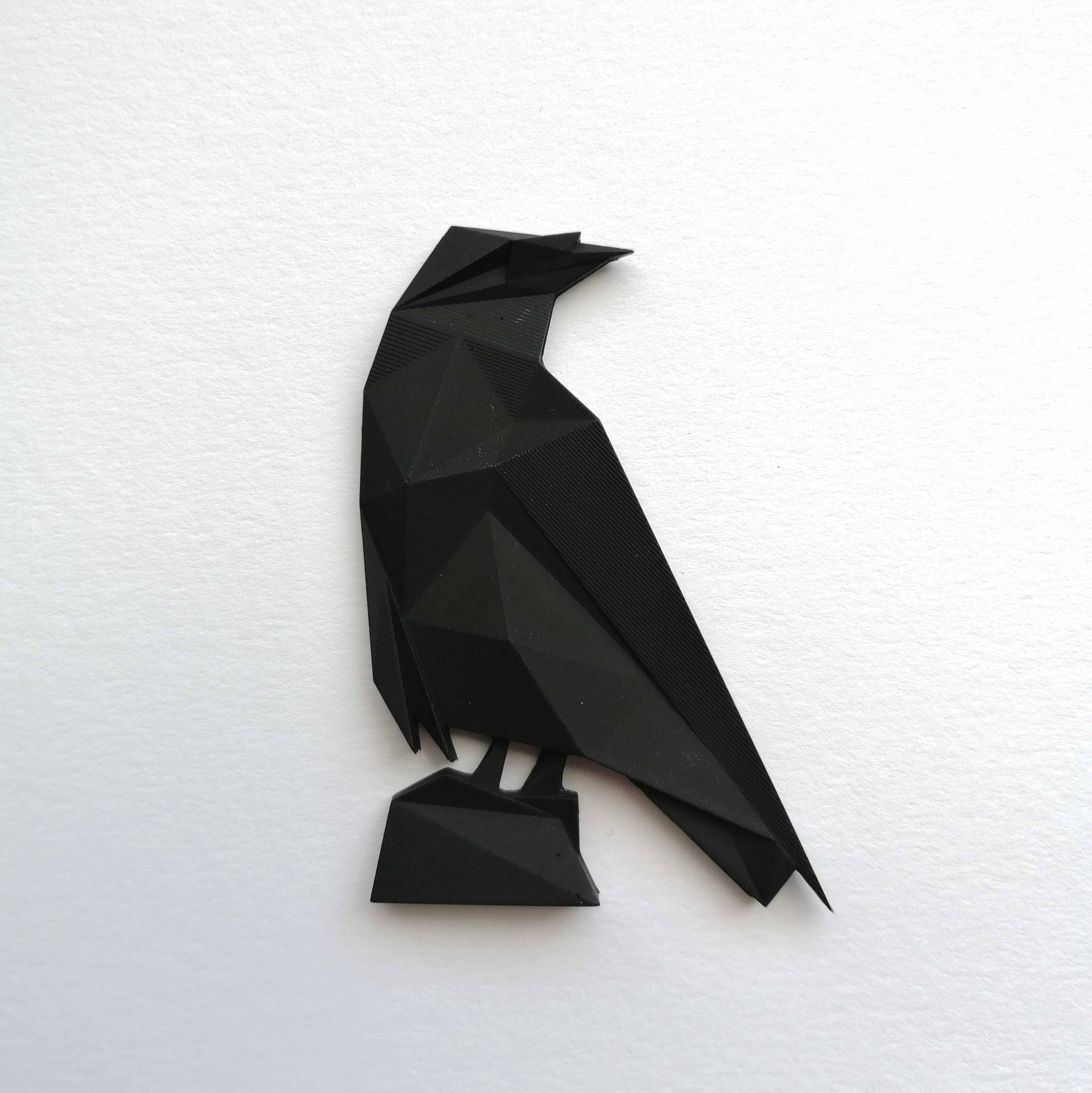 Geometric raven