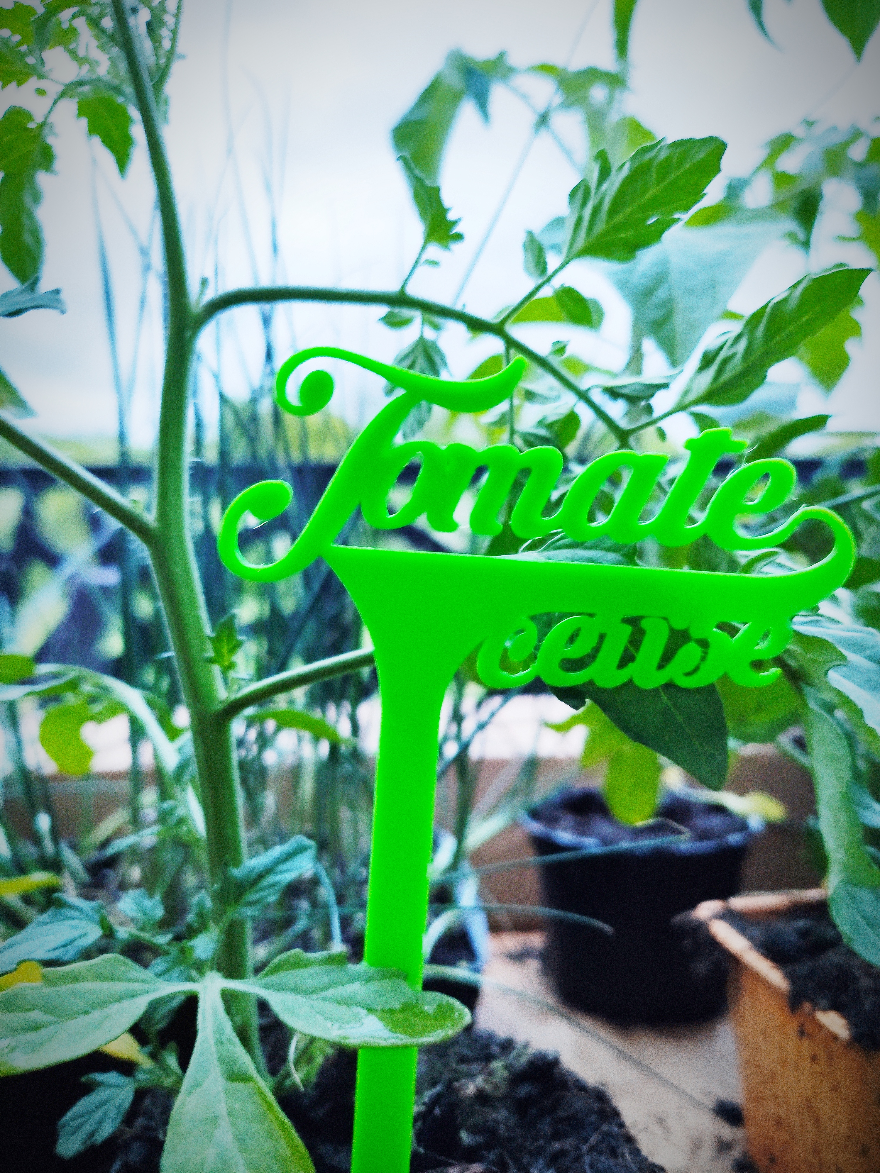 pancarte légumes du jardin