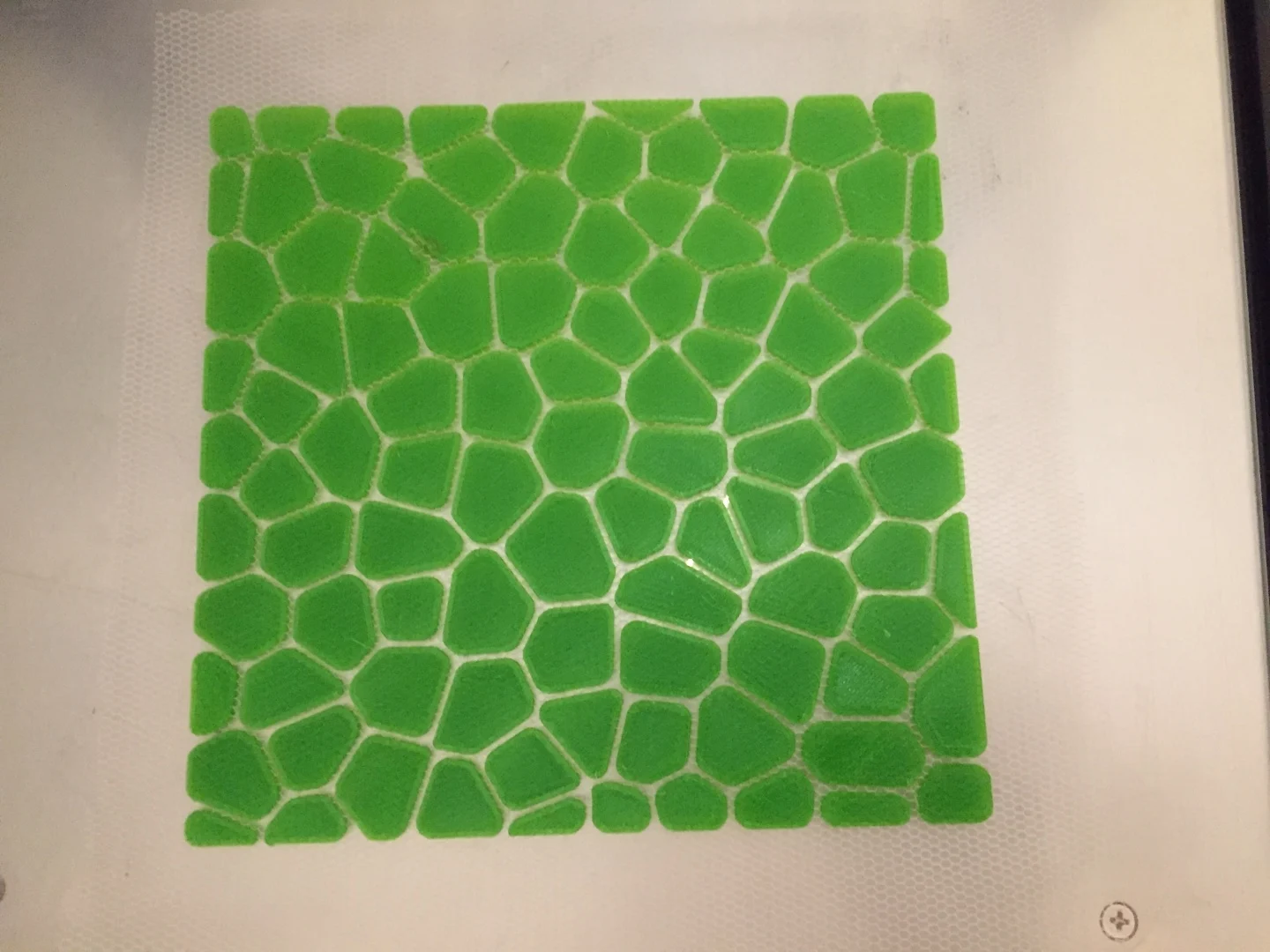 Crocodile (on Fabric)