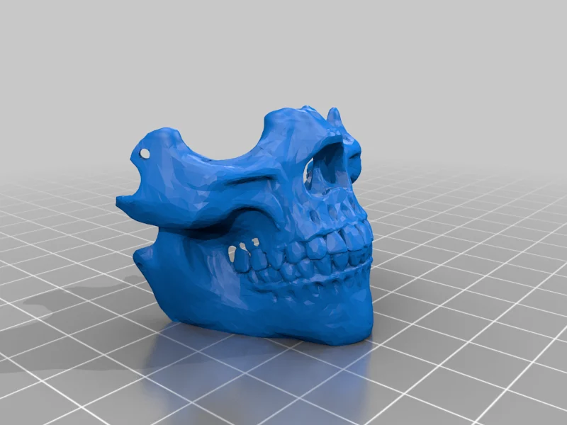 Half mask skull