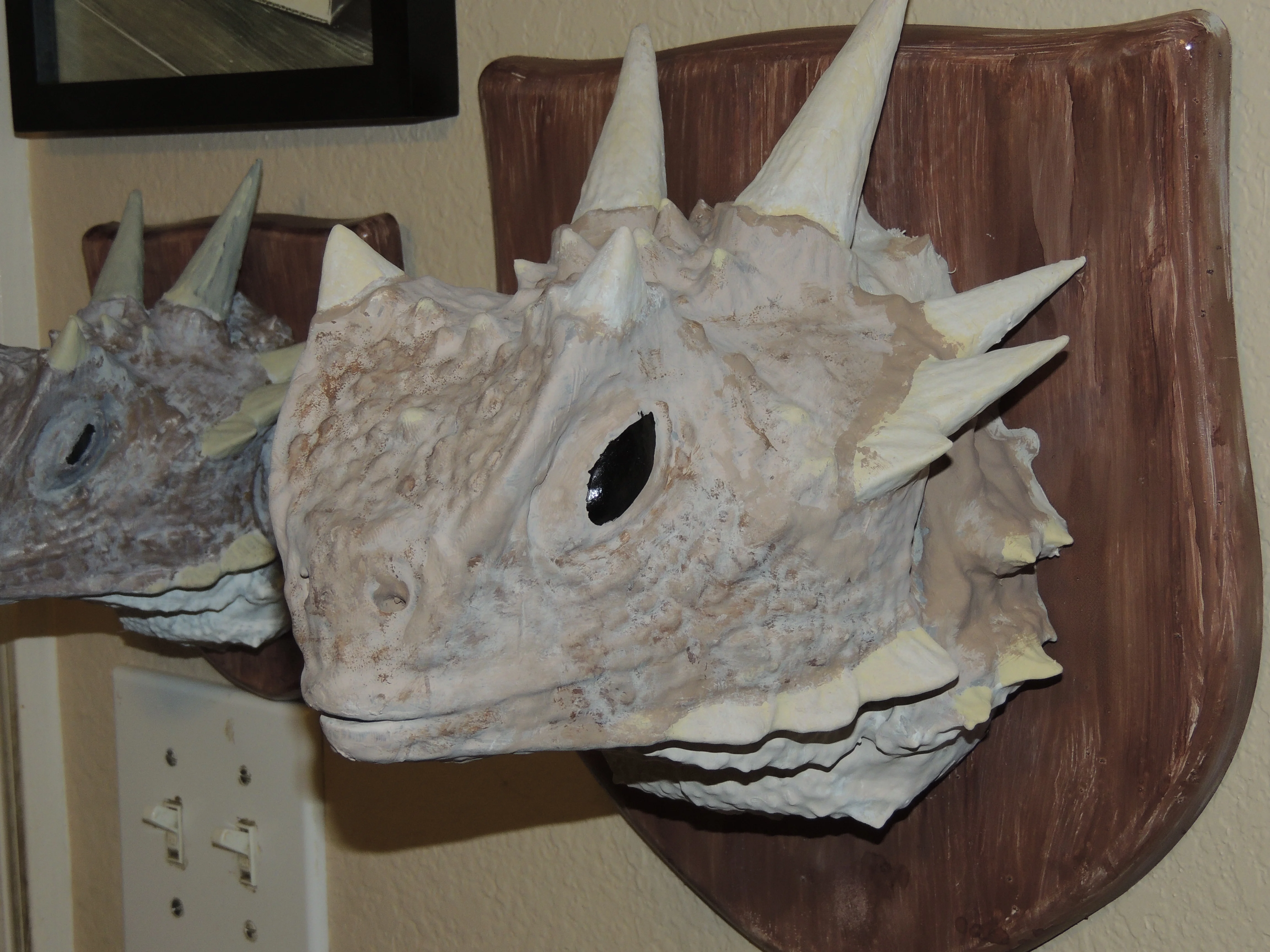 Texas Horny Toad (Phrynosoma cornutum - Texas Horned Lizard)
