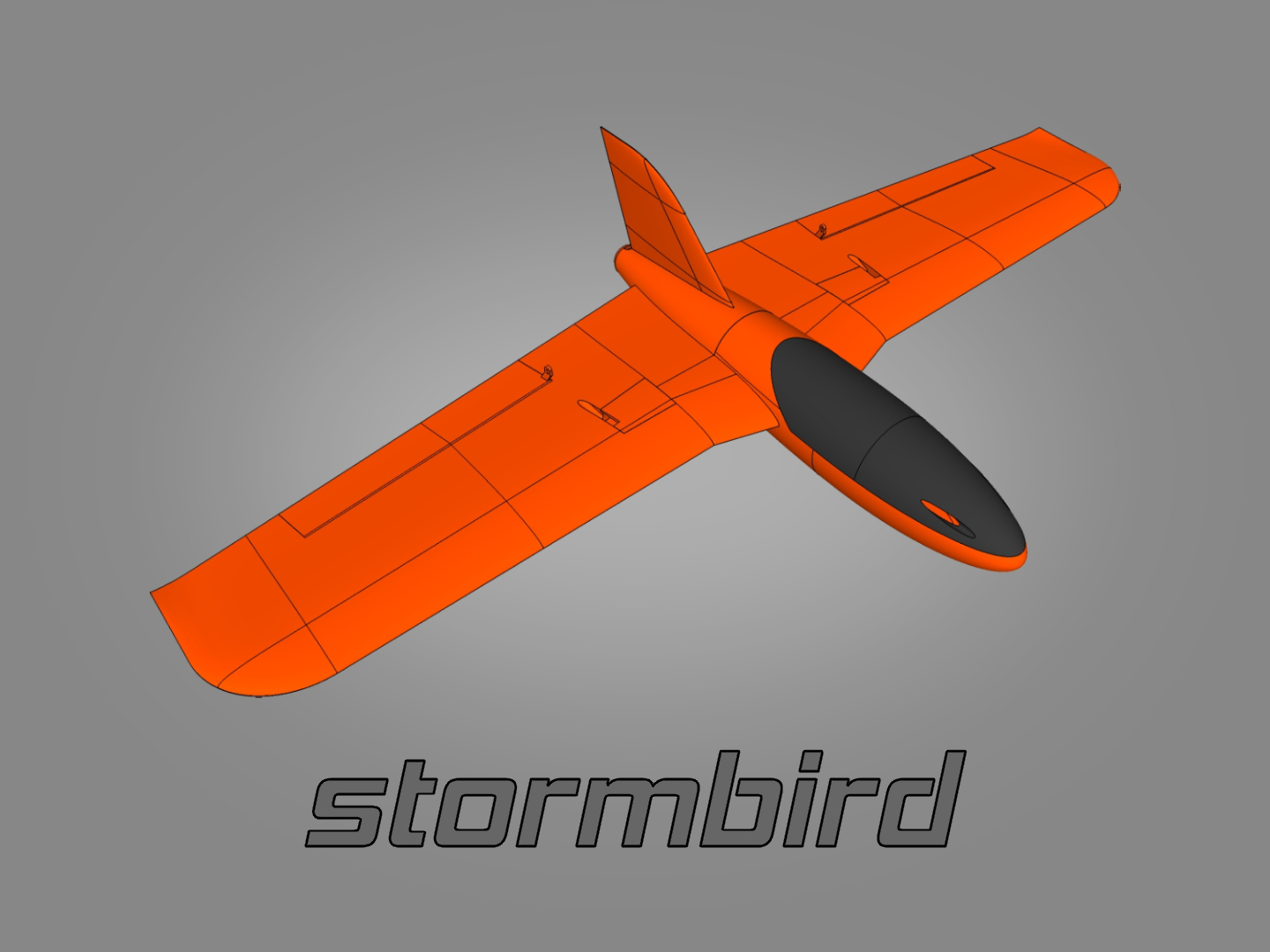 Stormbird