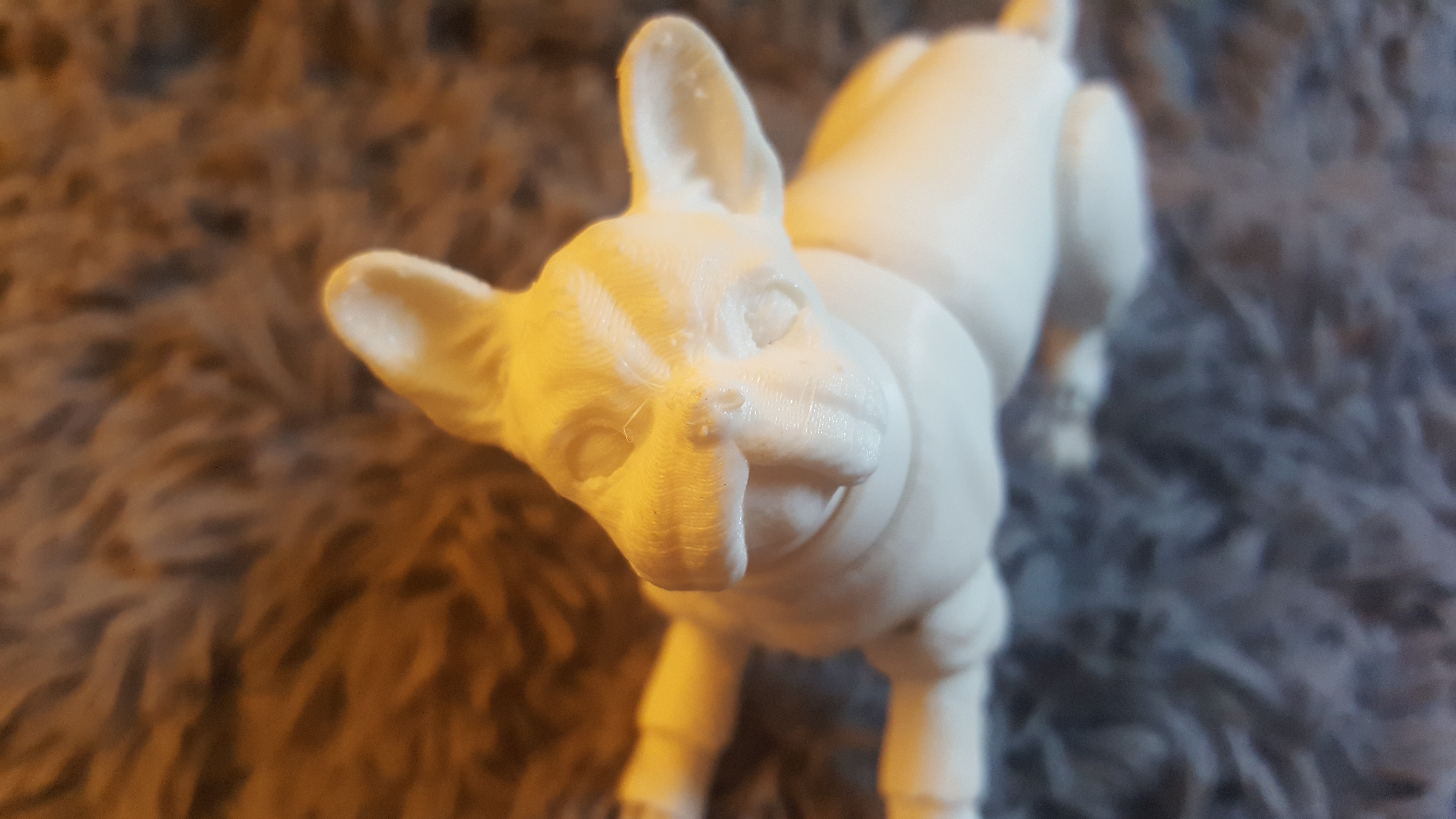 French bulldog (BJD)