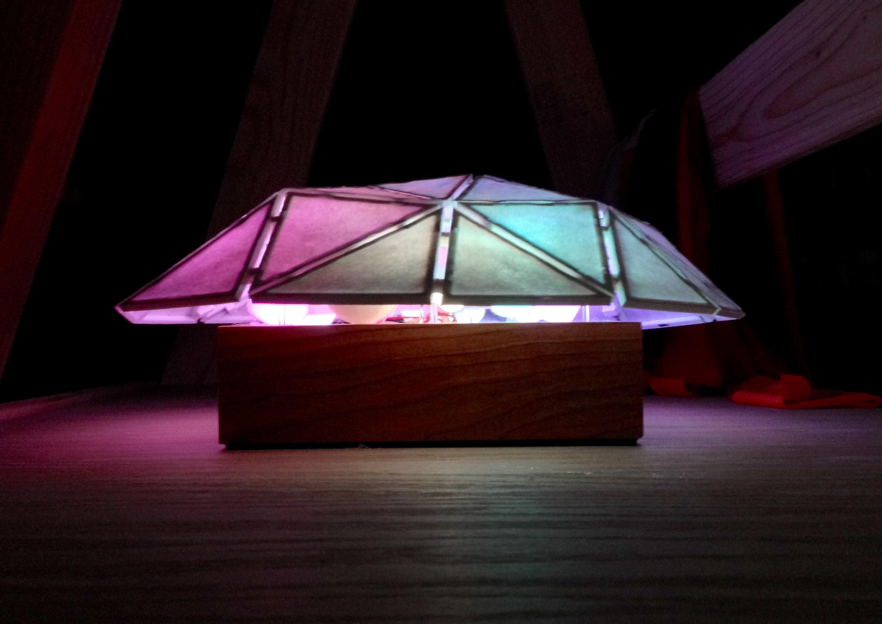 Organic Geodesic