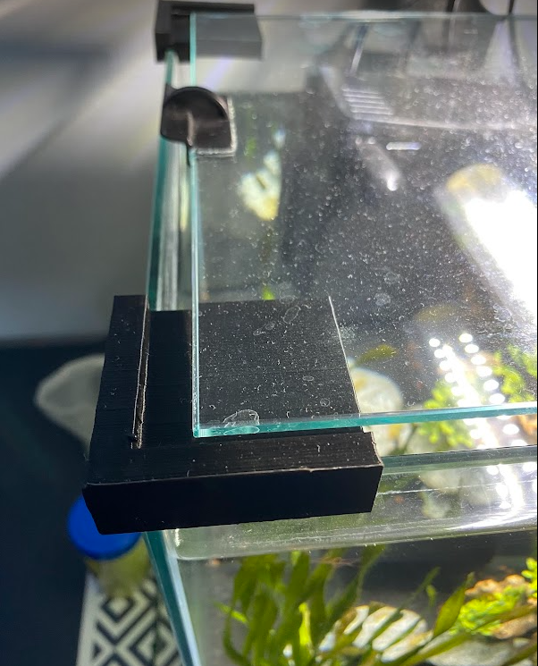 angle aquarium