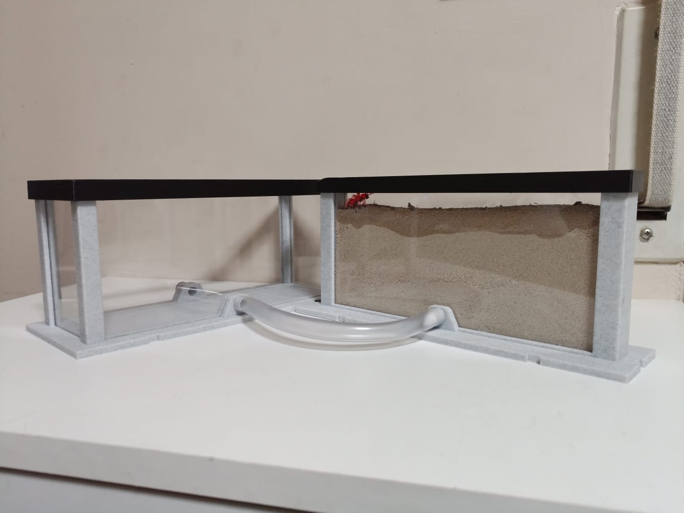 Hormiguero arena modular