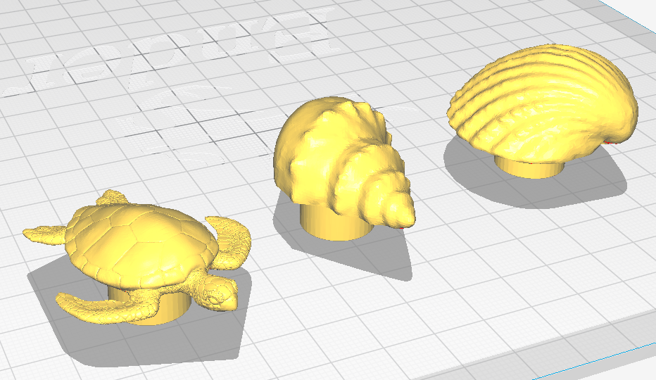 Seashell Ocean Life Drawer Pulls