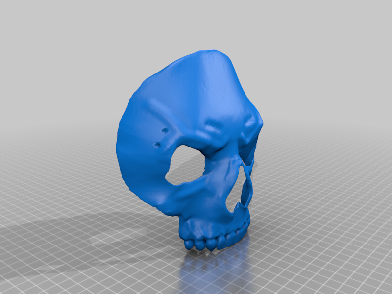 Ghost Mask Modern Warfare 2, Alternate Mask