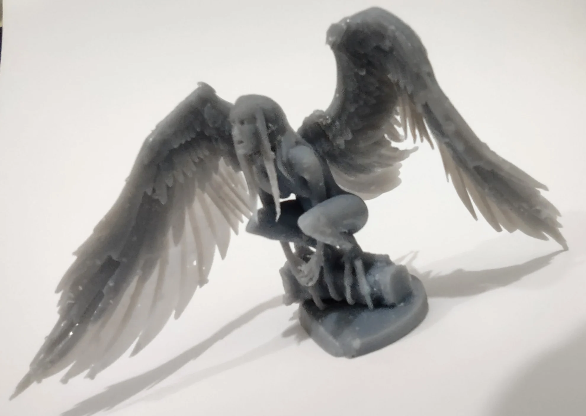 Harpy