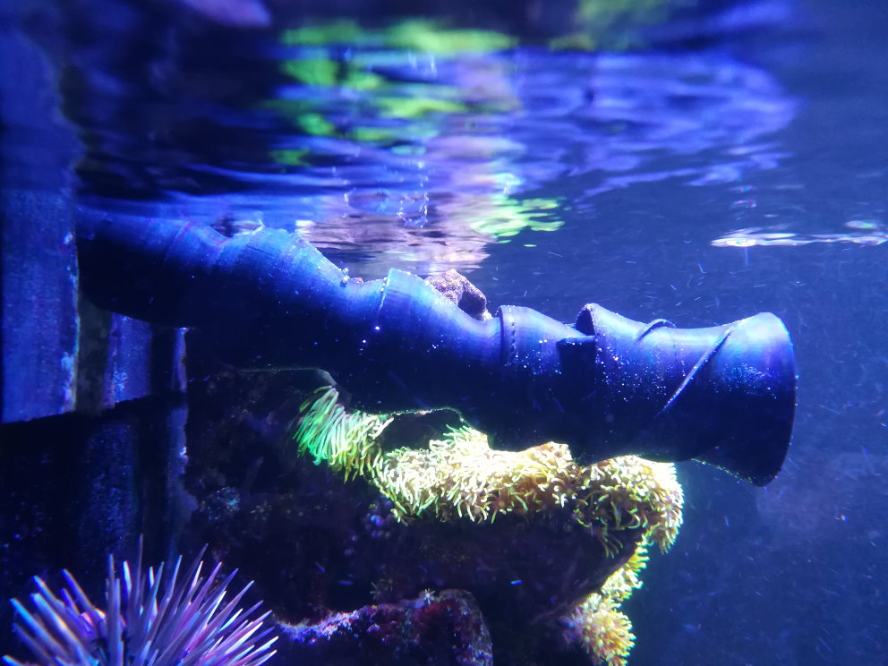 Aquarium Flow