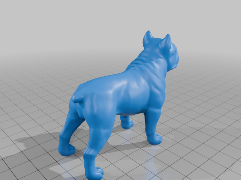 Dog