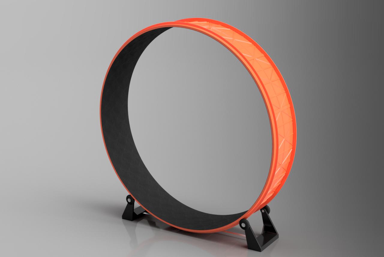 Cat Exercise Wheel