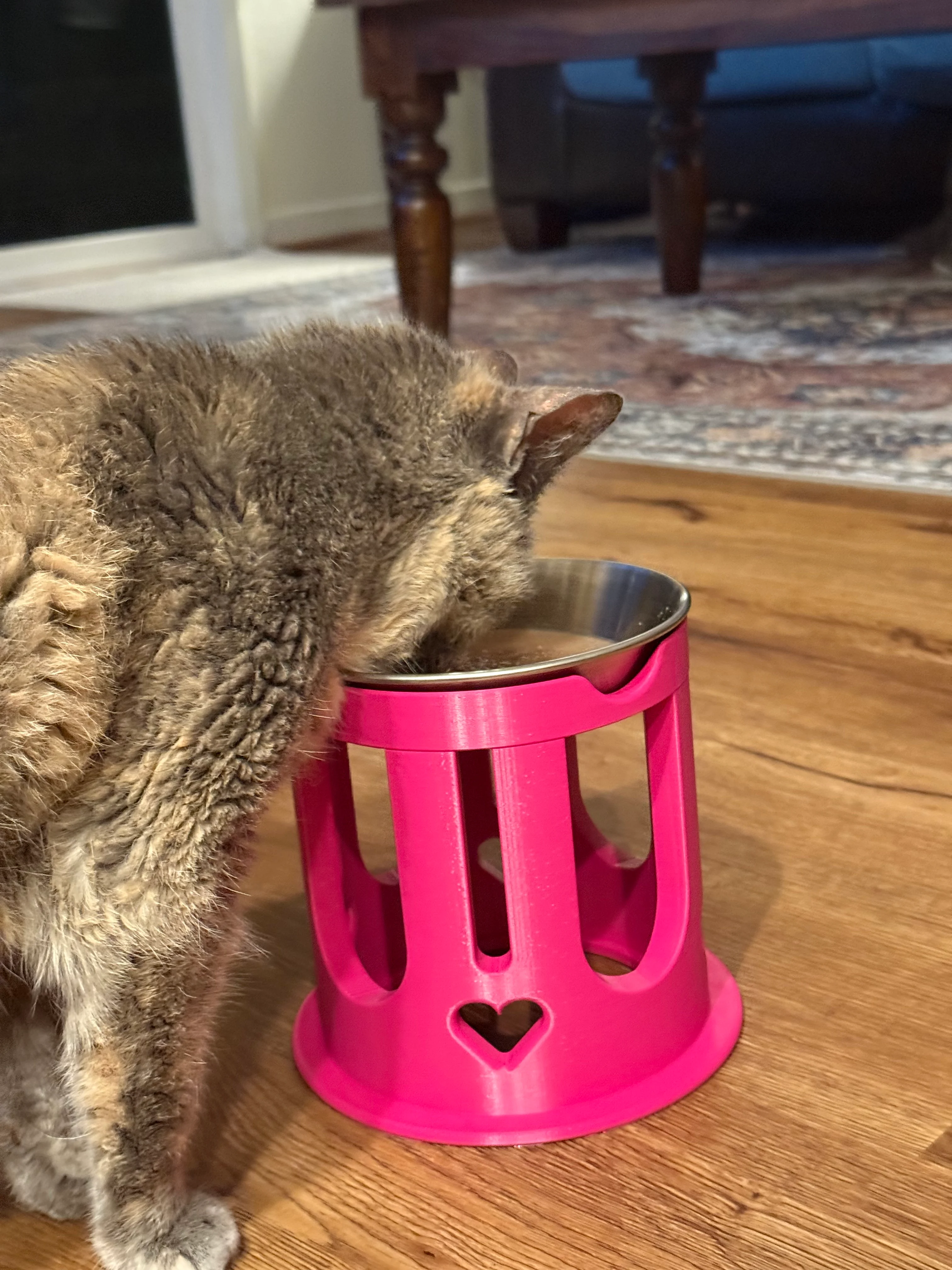 Elevated Cat Bowl