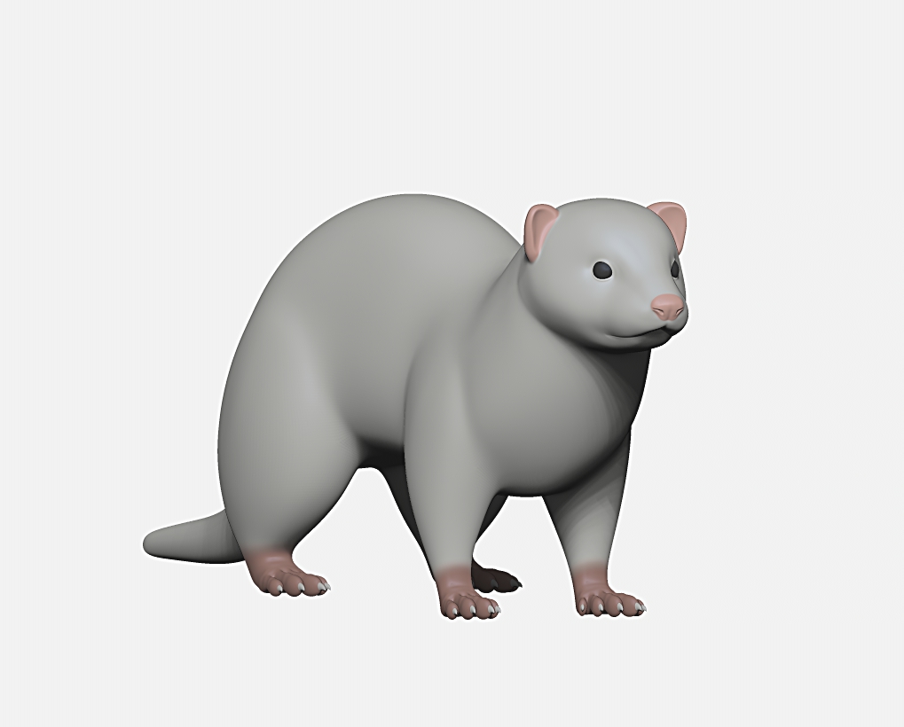 ferret