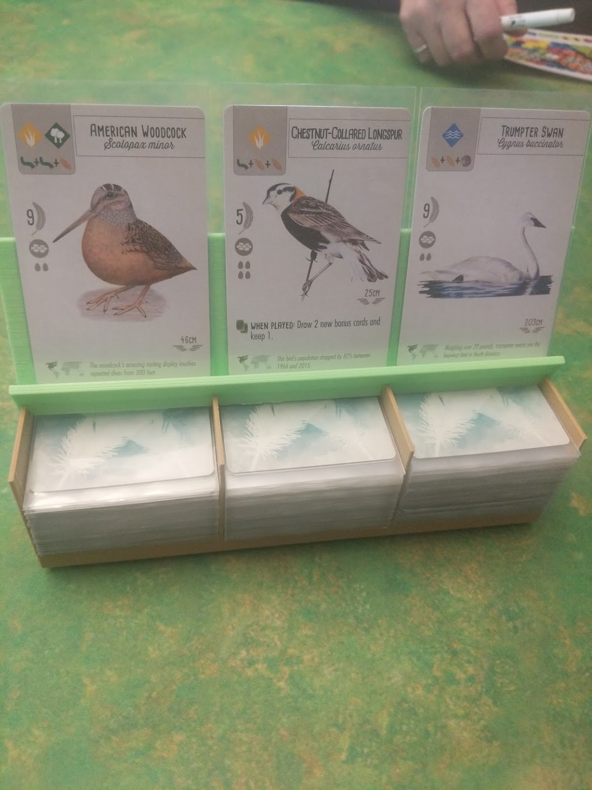 Wingspan Card Holder