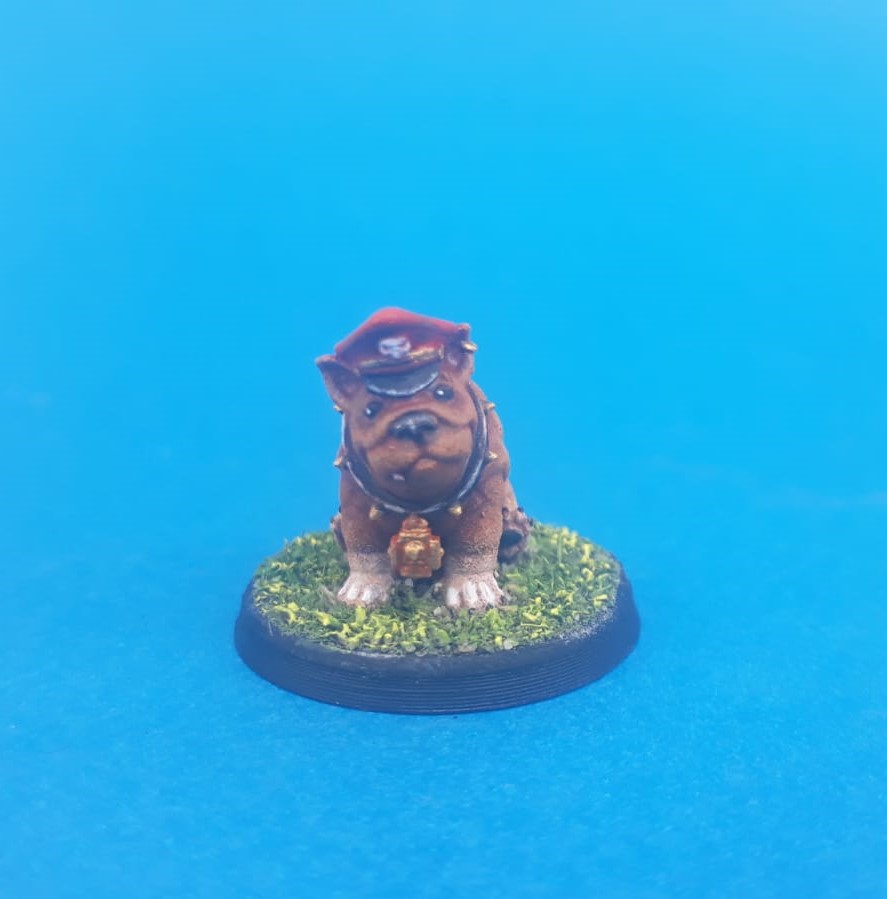 Commissar Chonk, the Most Loyal Boi.