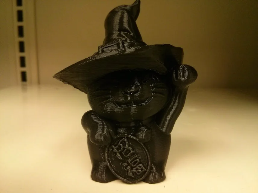 Lucky Witch Cat