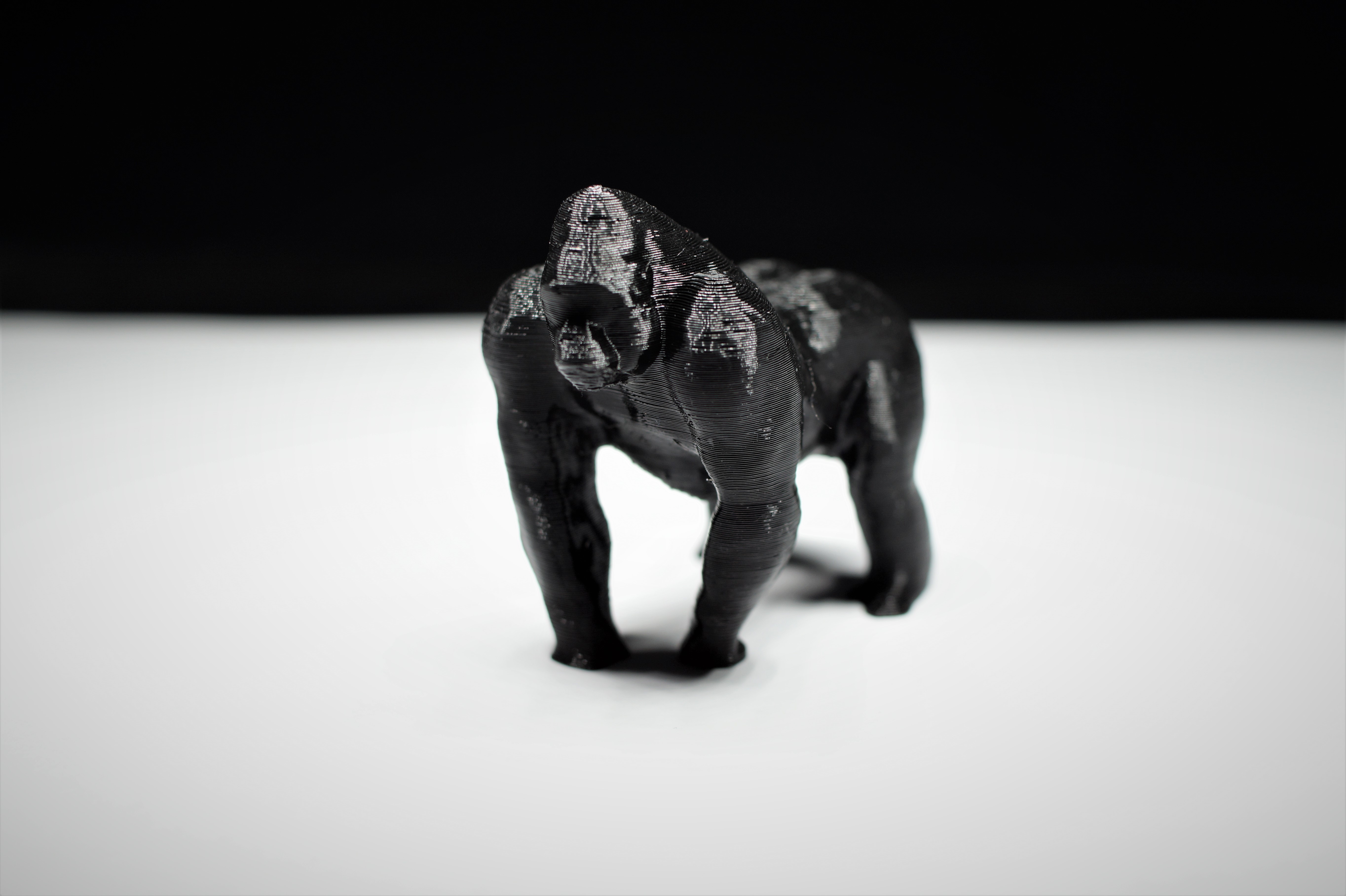 Gorilla