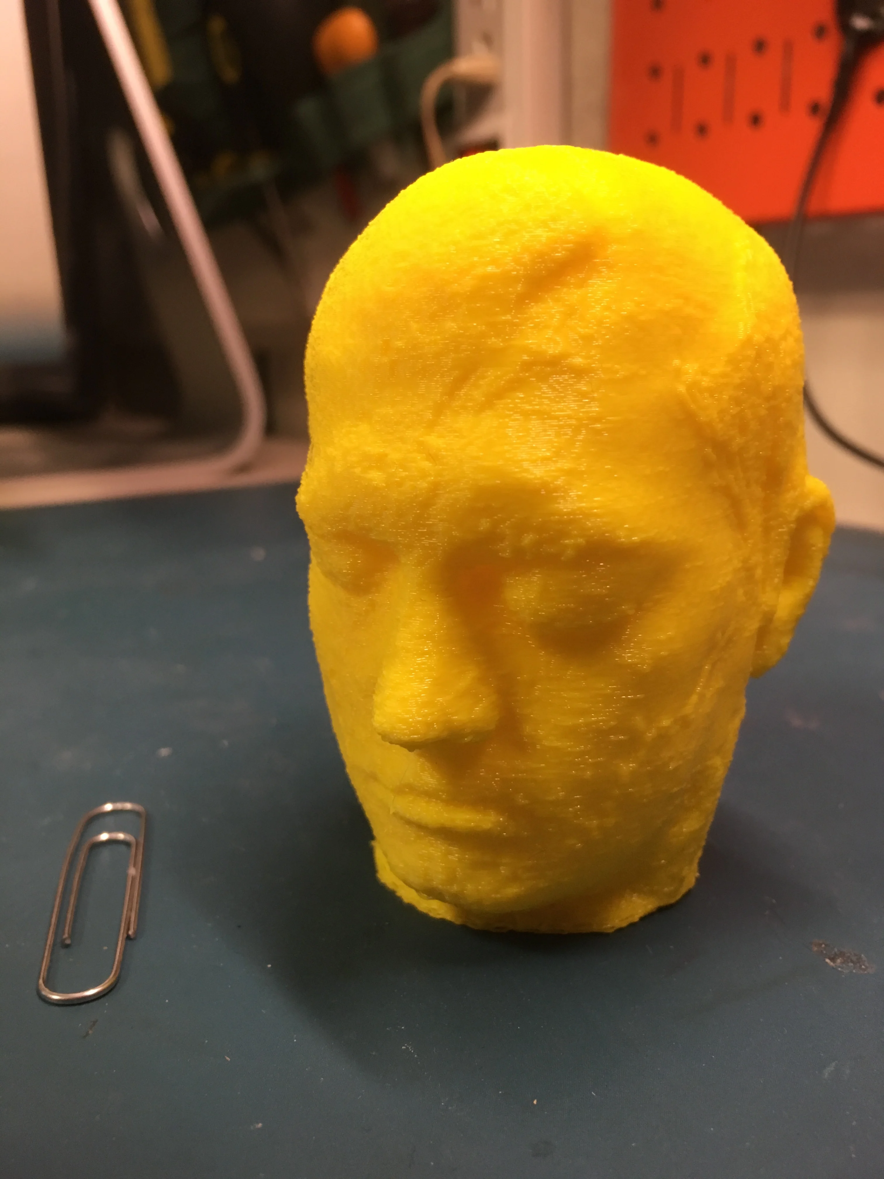 Phineas Gage Lifecast (lifemask)