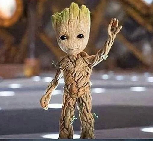 BABE GROOT LOW-RES VERSION