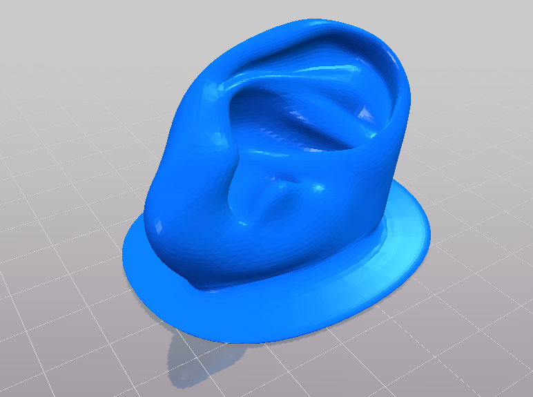 Human Ear model