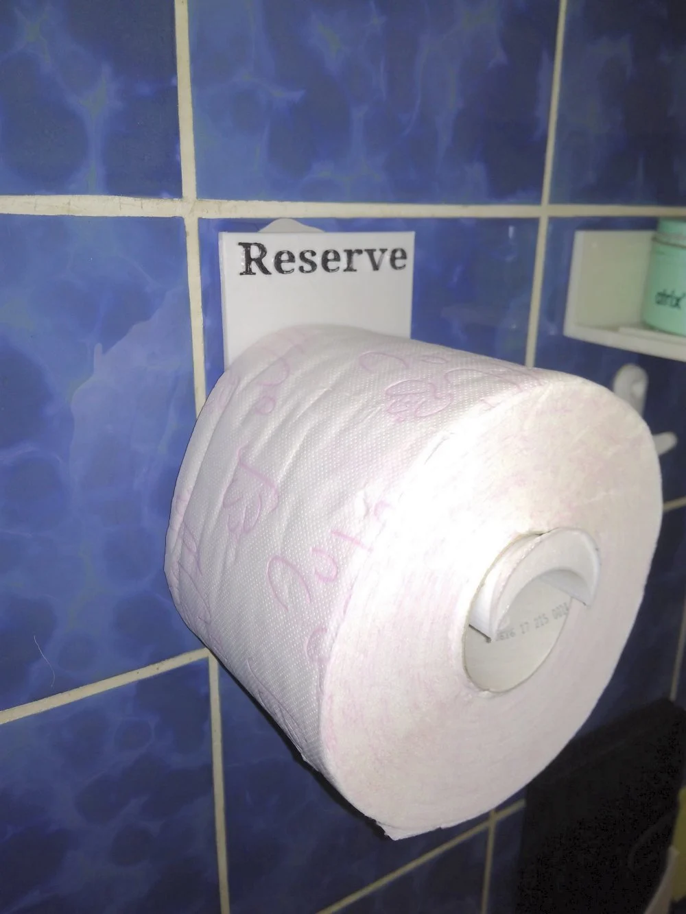 Last hope backup toilet paper holder