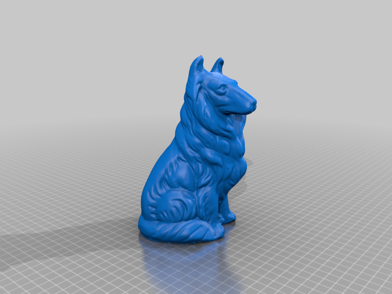 Collie