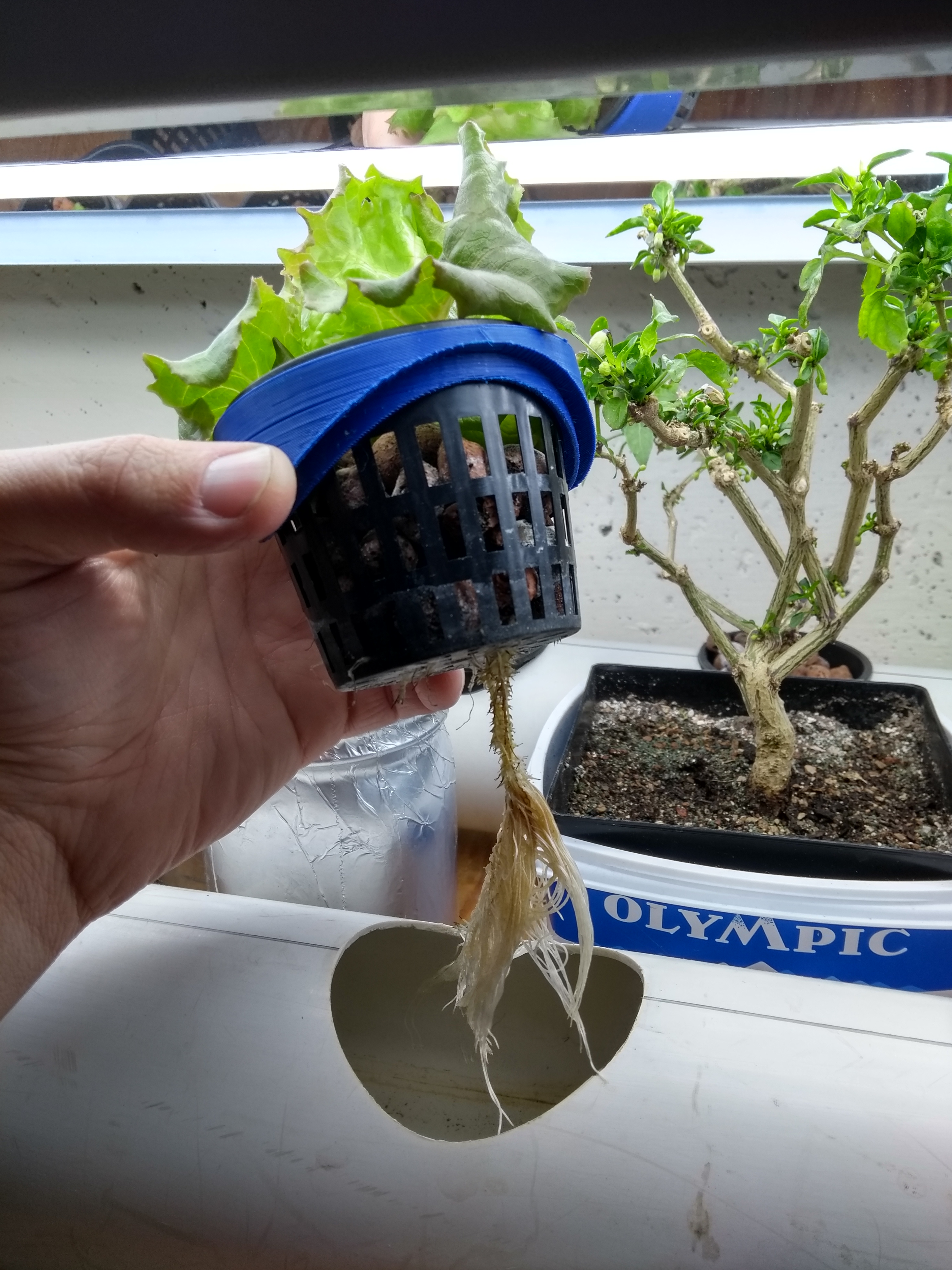 3" Hydroponic Netcup to 4" PVC adapter
