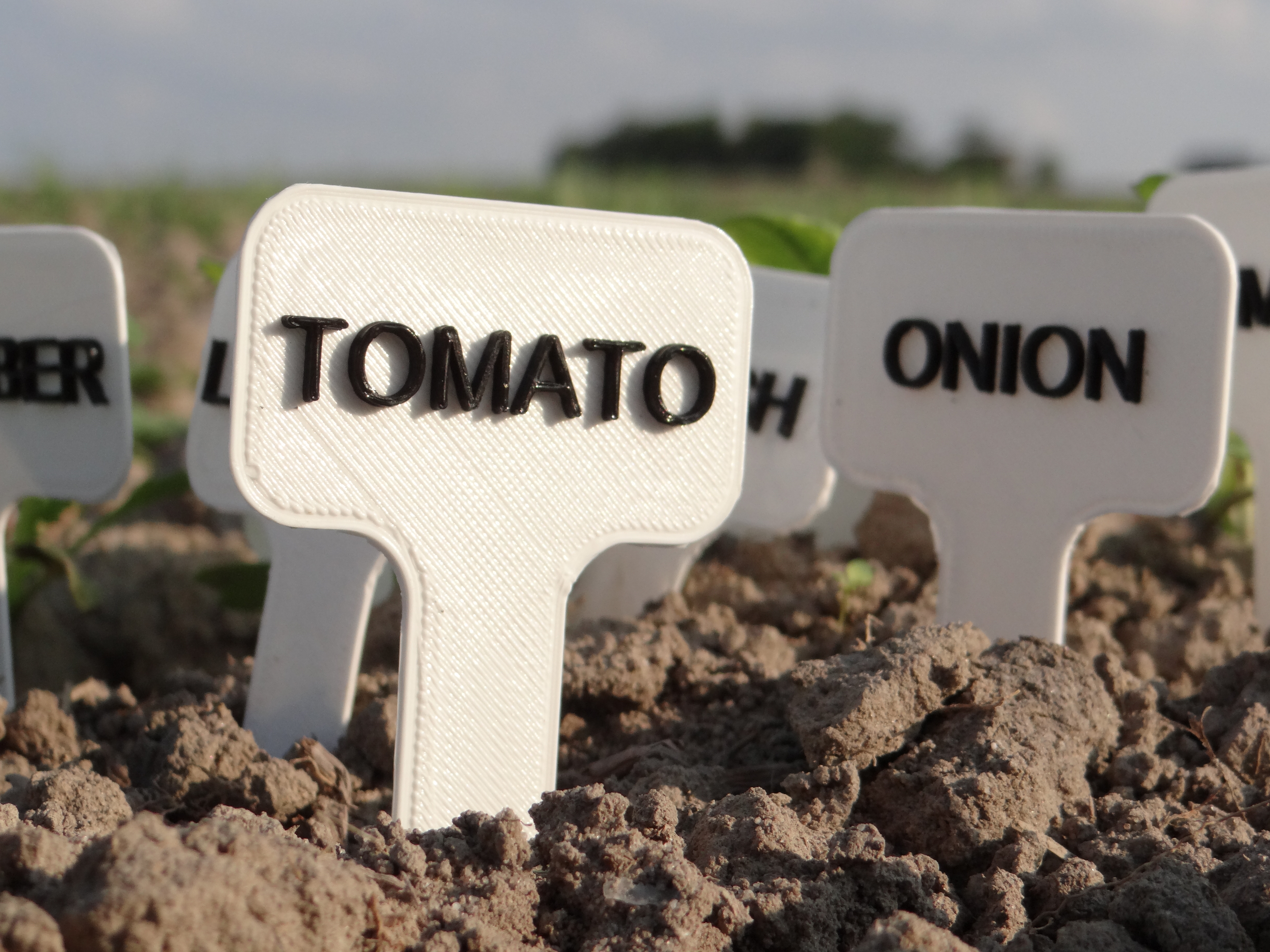 Vegetables signs/labels