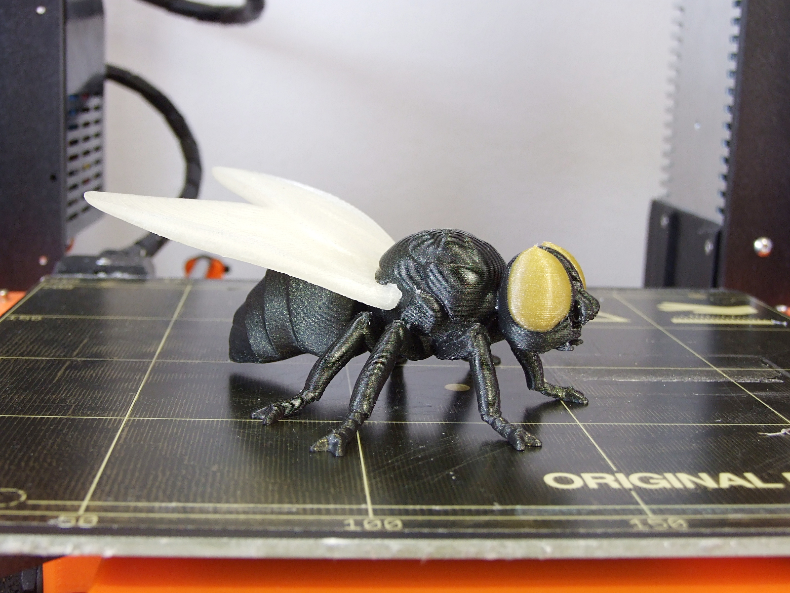 Fly (multi-material)