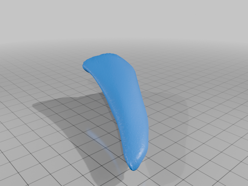 Tooth-shaped sanded bone
