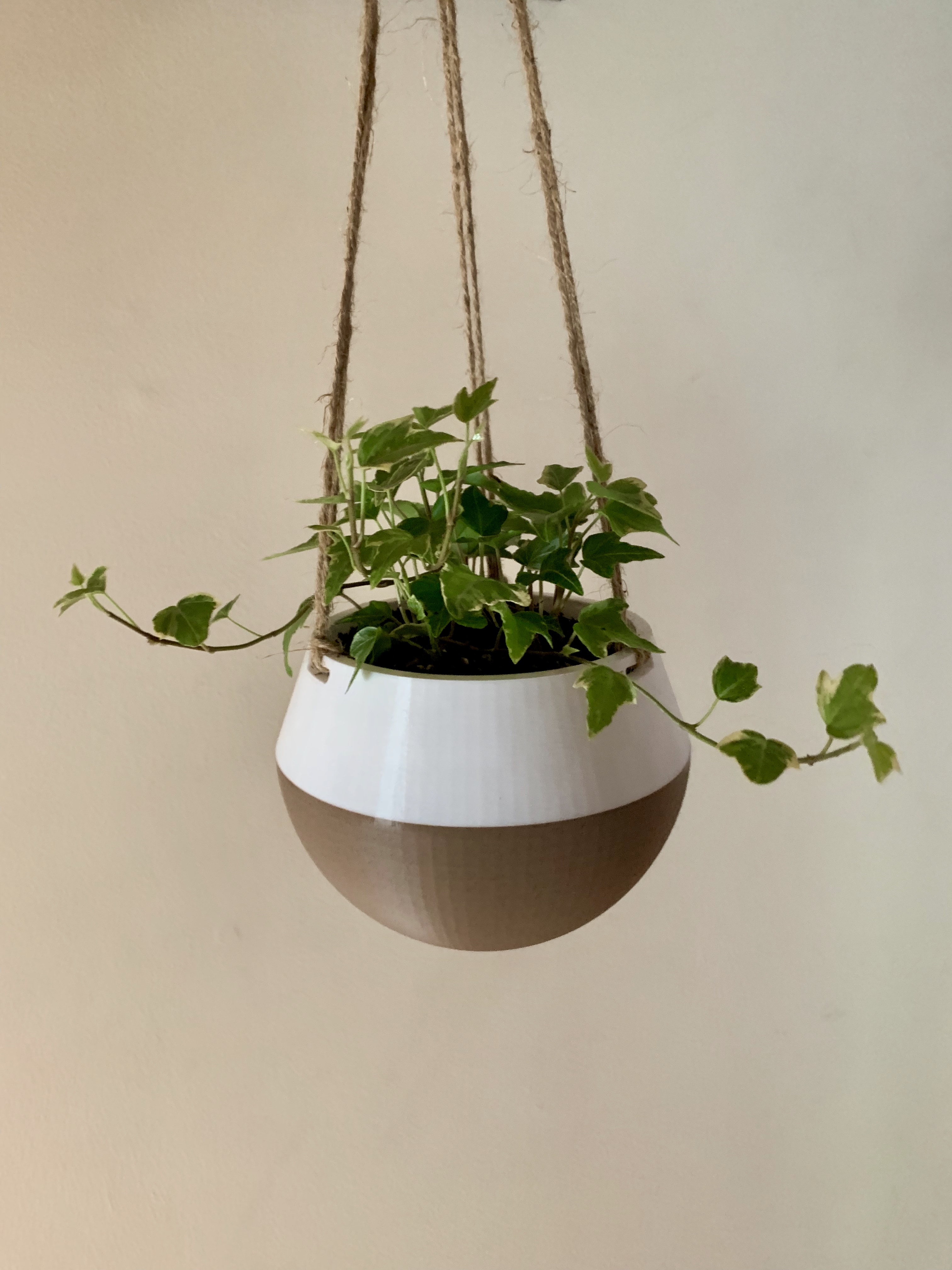 Hanging Planter