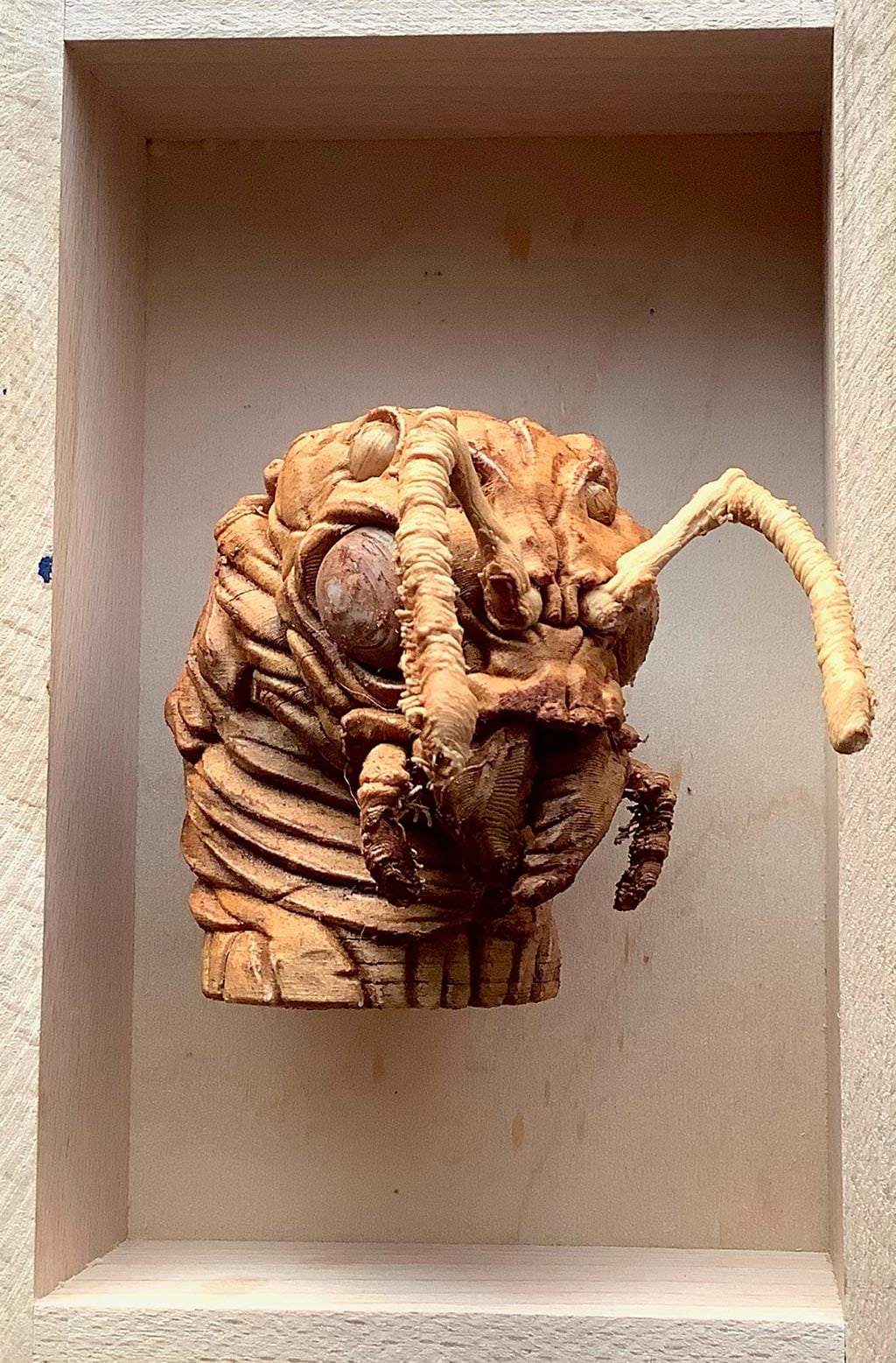 Animal Totem Insect