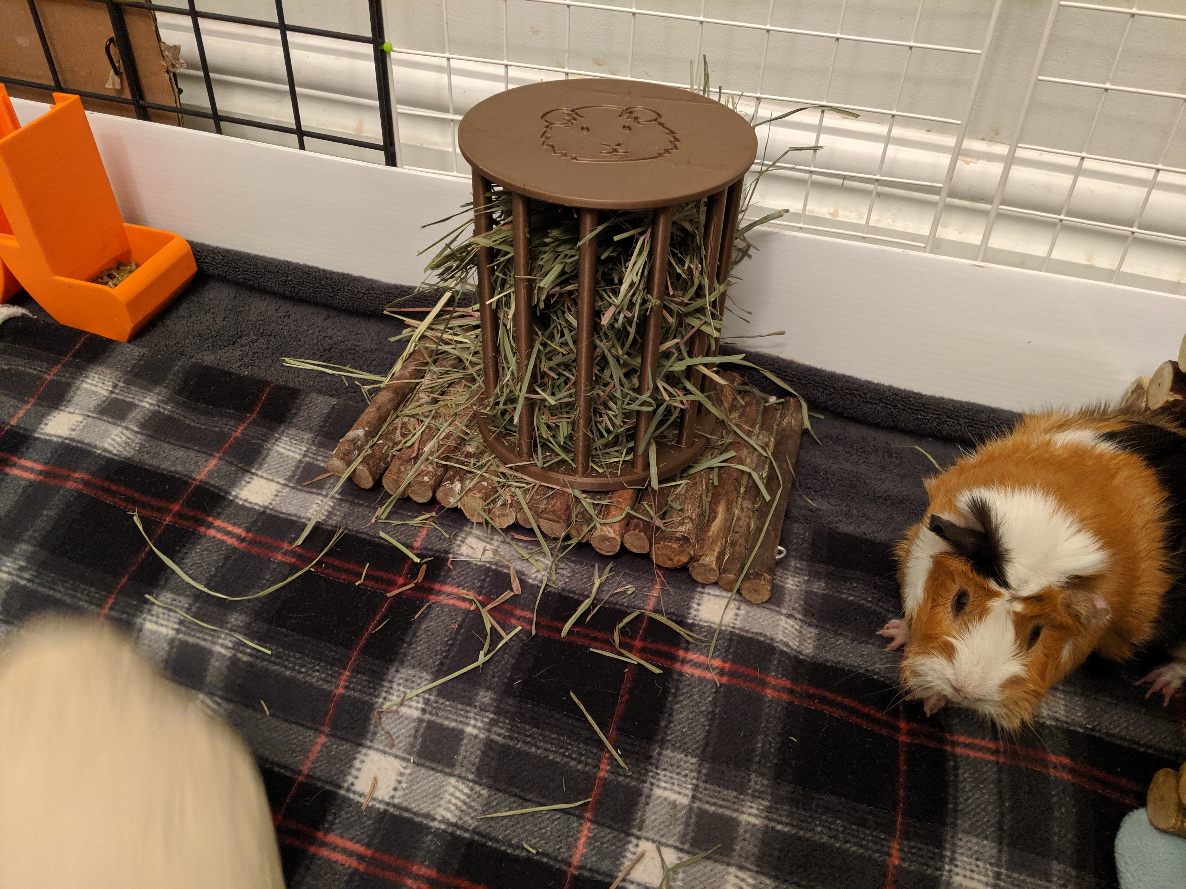 Guinea Pig Hay Feeder