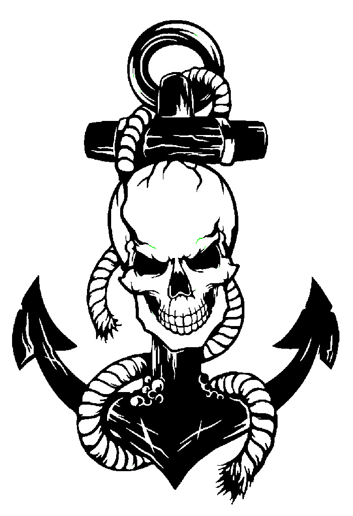 2D Anchor Skull