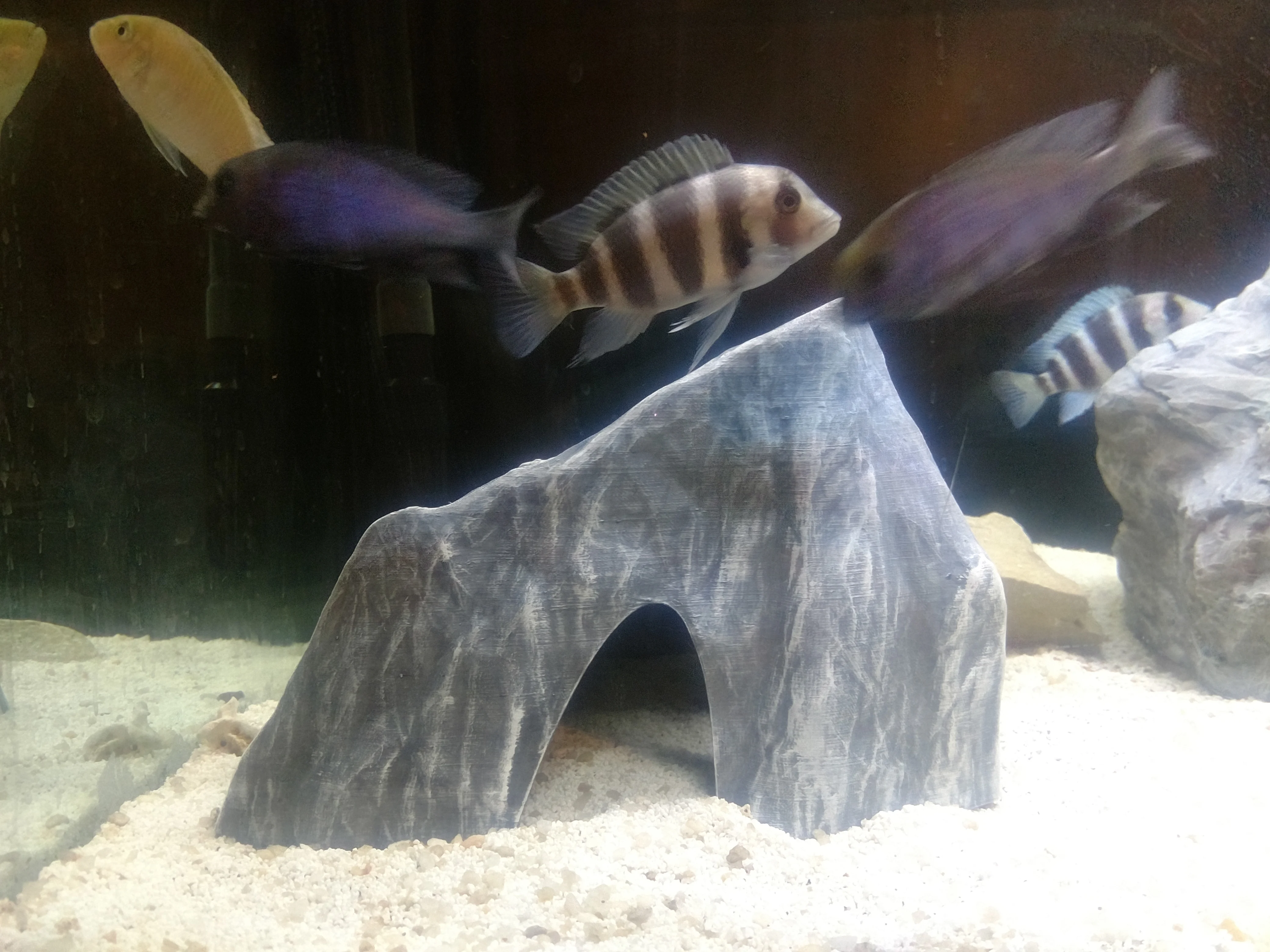 Aquarium decoration - Textured rock cave - Large