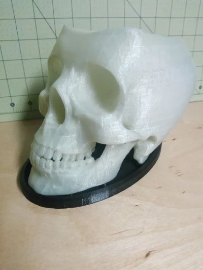 Skull Planter - with Drainage and Tray