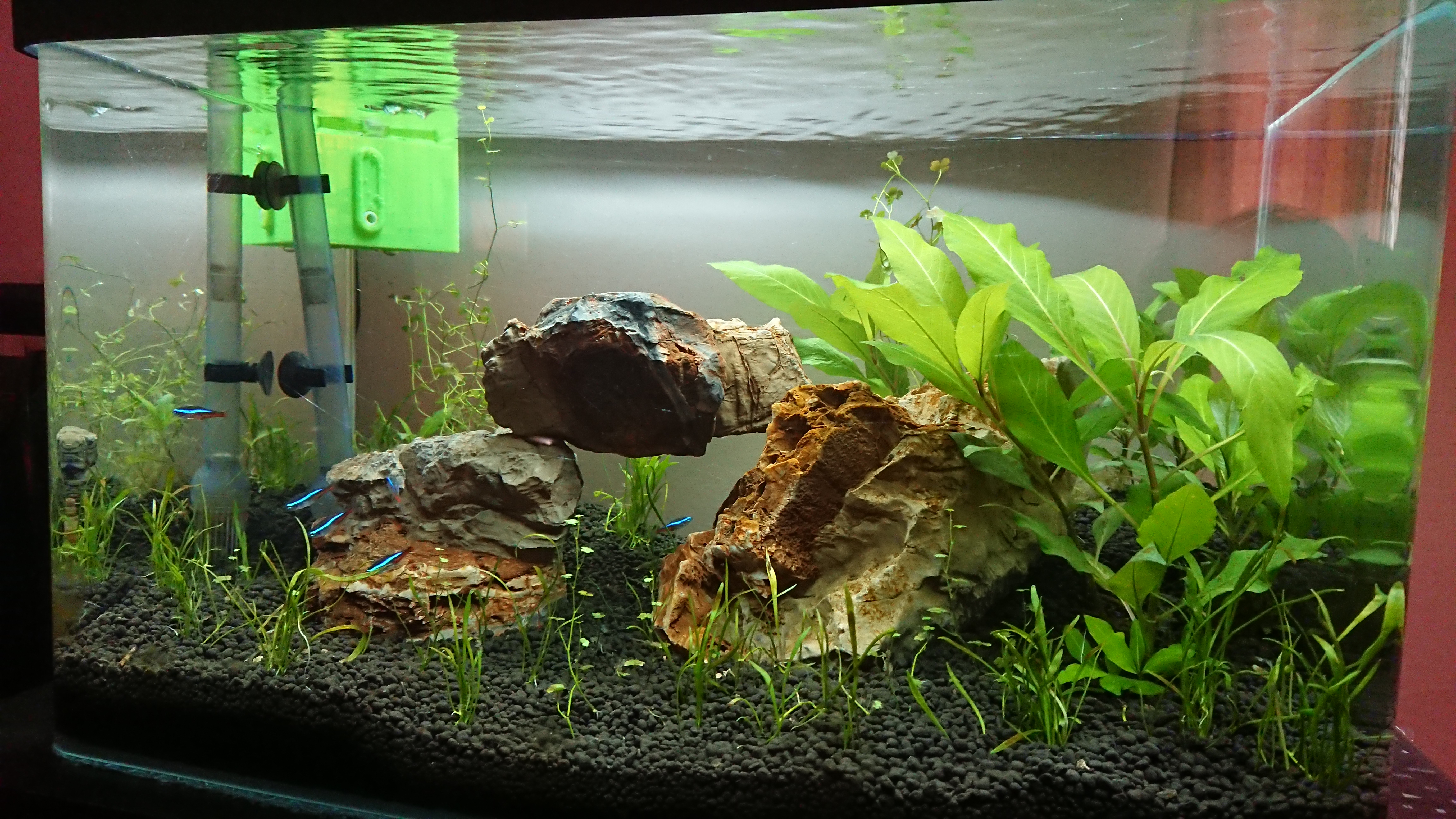 Skimmer for mini aquarium
