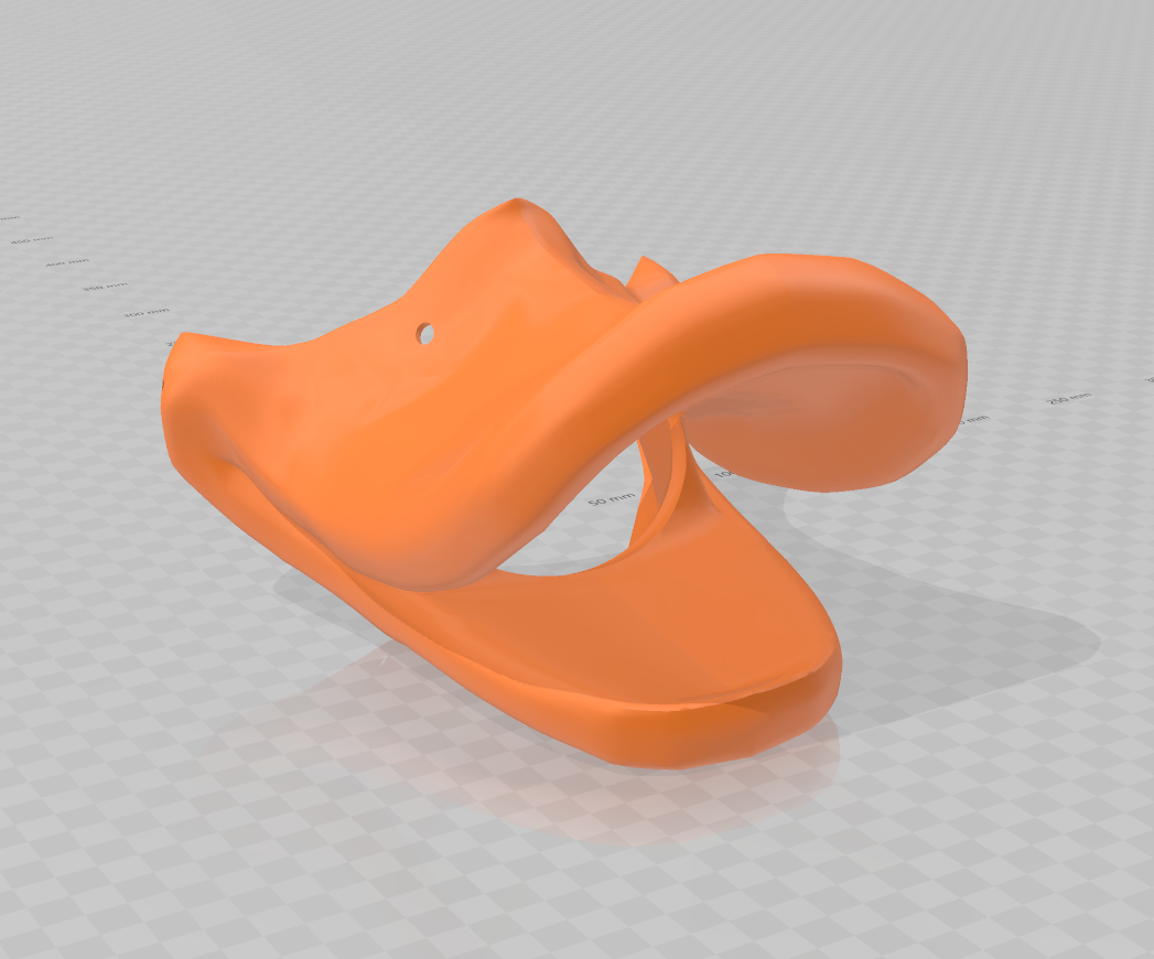 Duck Beak