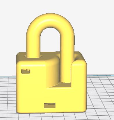 Single Print Padlock