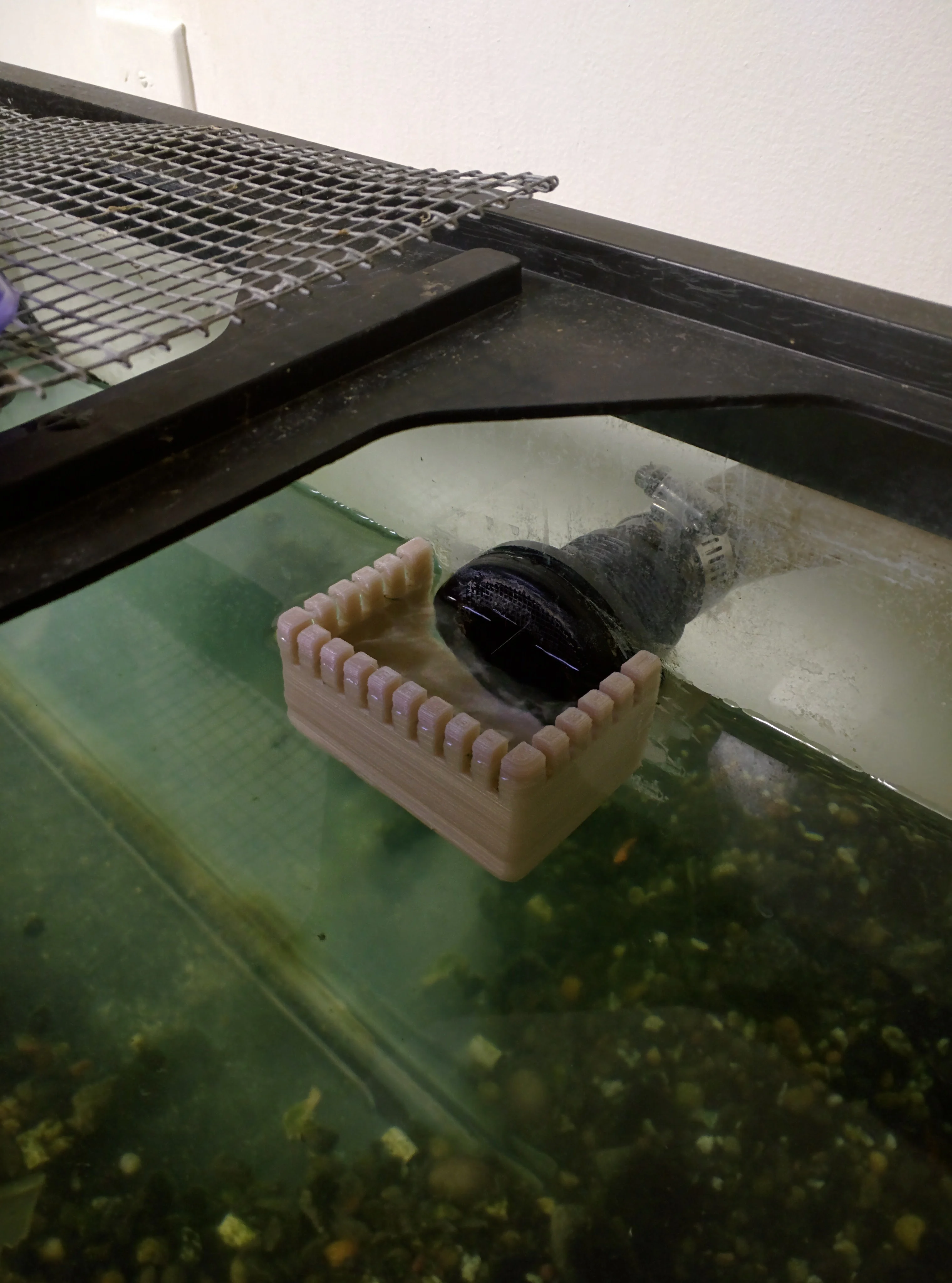 Aquarium Overflow